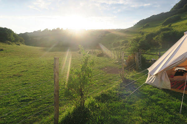 An image of a rental contract for the former campground site