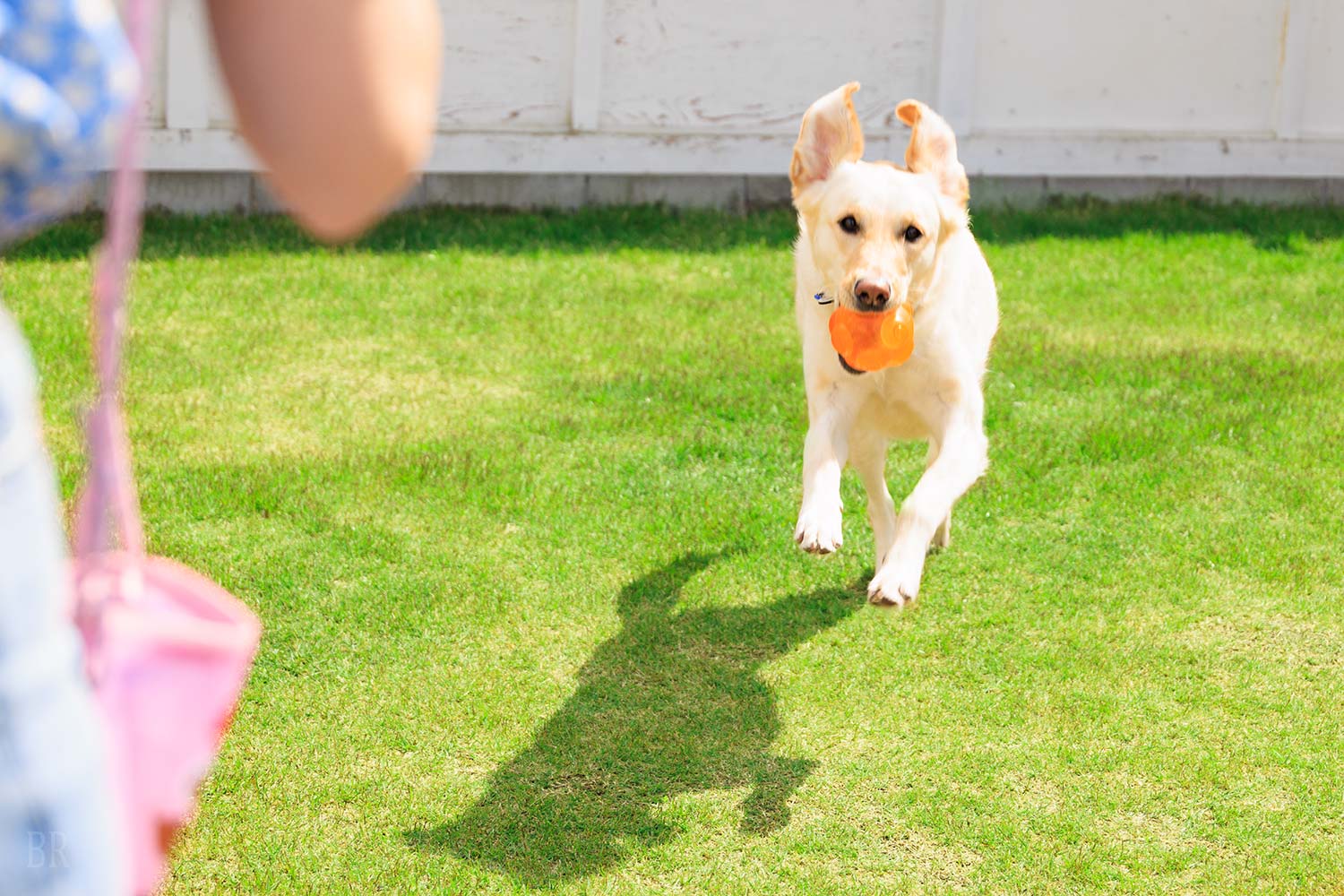 グランピング・ヴィラ