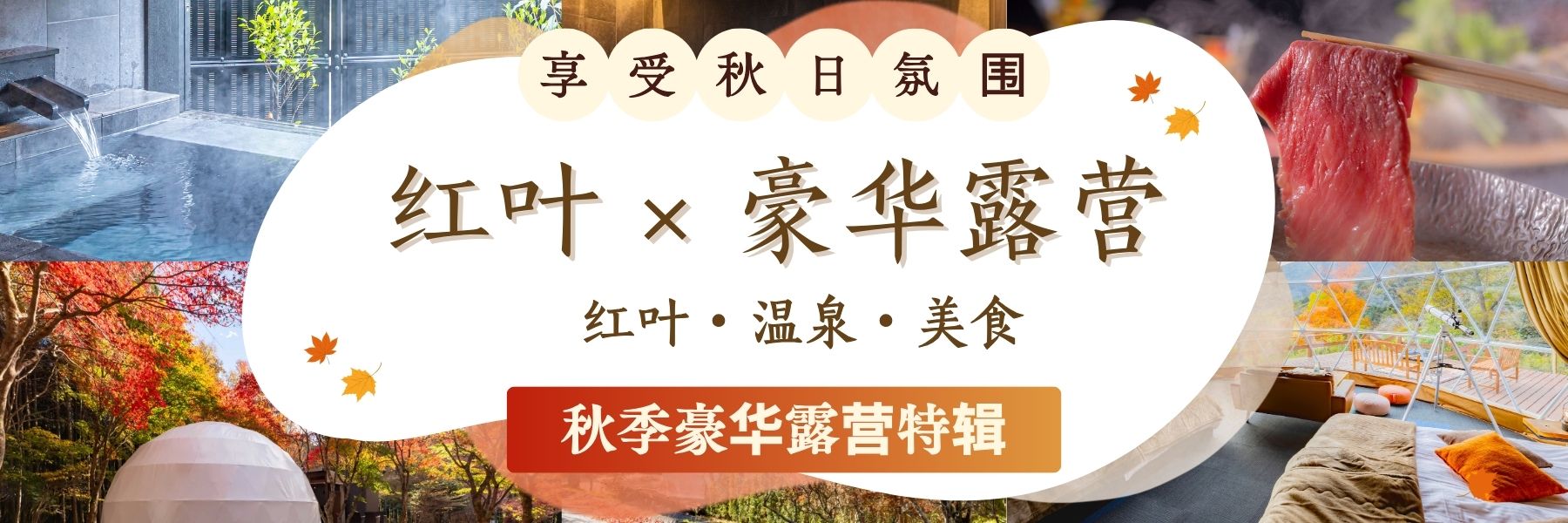 推荐可以欣赏红叶的豪华露营设施