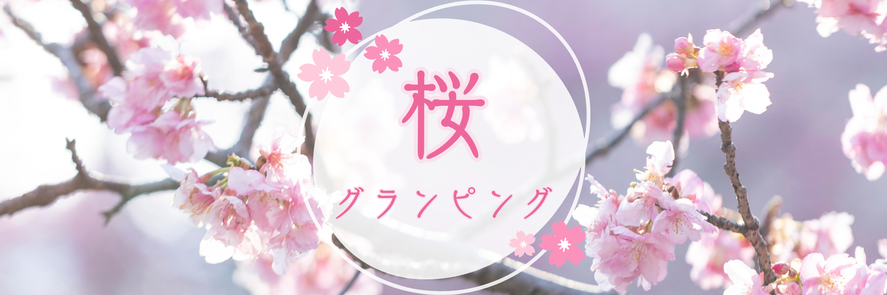 桜バナー