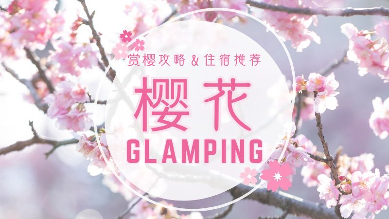 樱花豪华露营