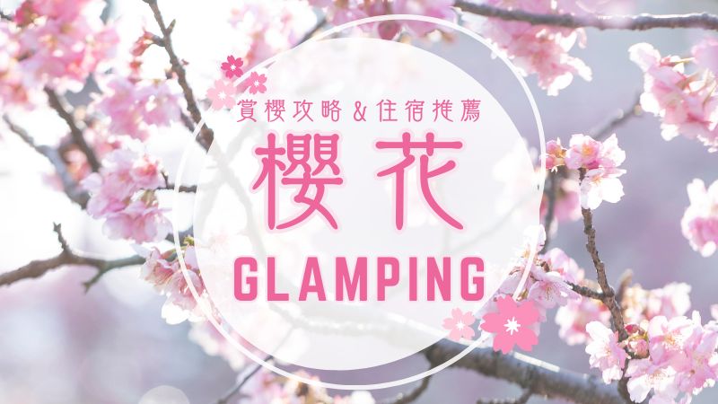 櫻花豪華露營