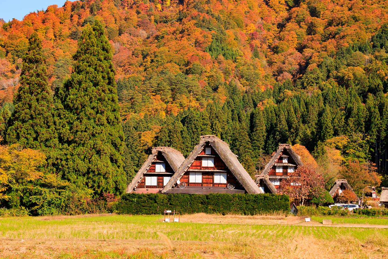 紅葉と白川郷