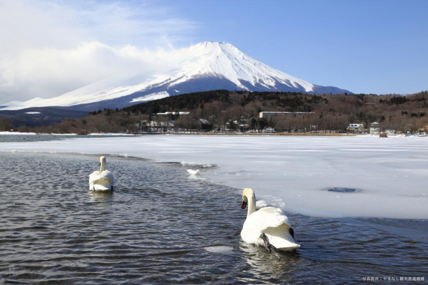 冬の富士山