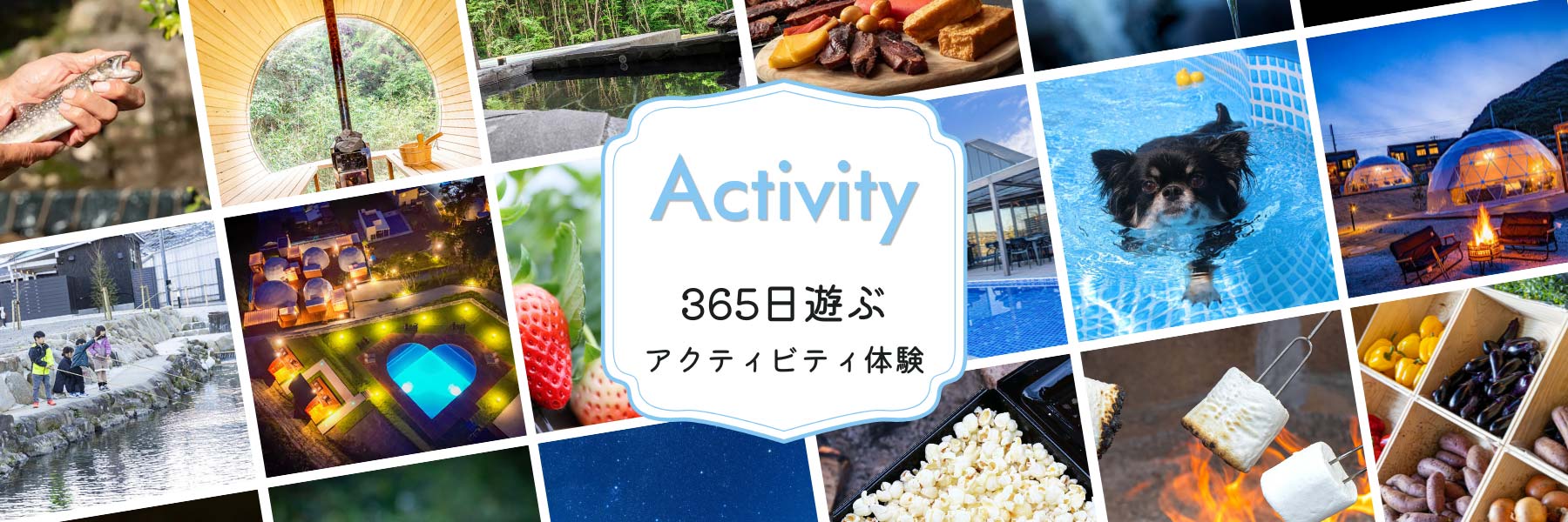 アクティビティ特集