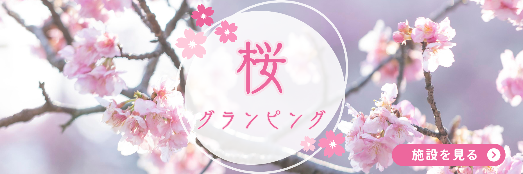 樱花豪华露营