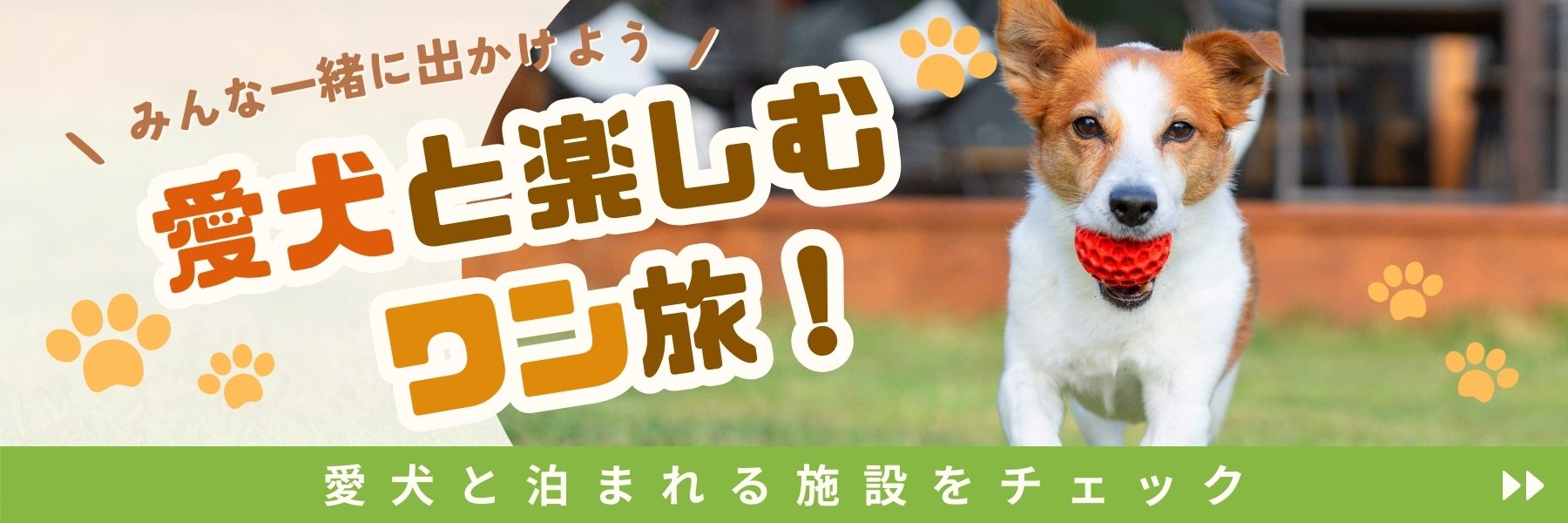 愛犬と楽しむワン旅！