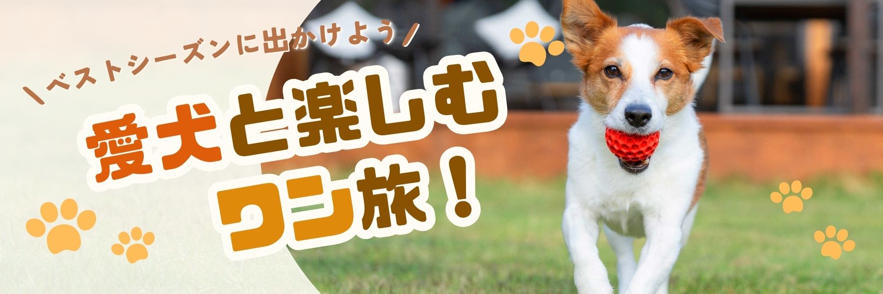 愛犬と泊まれるグランピング施設特集