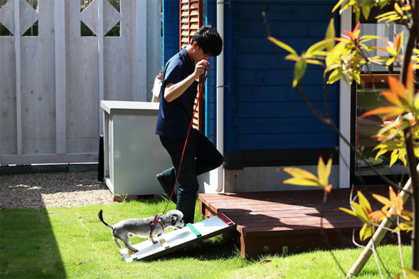 Installing steps for dogs