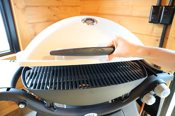 weber gas grill