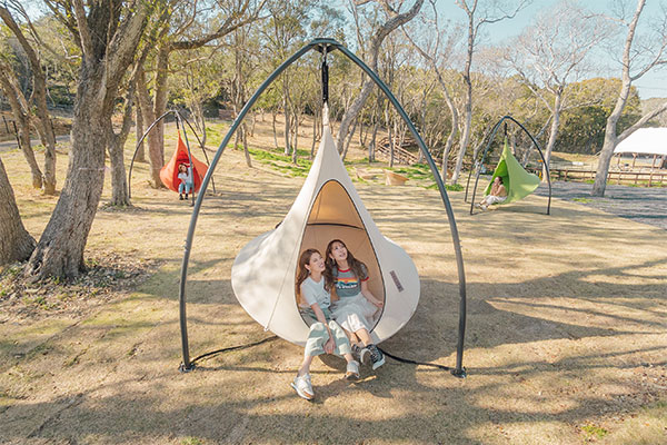 cacoon forest