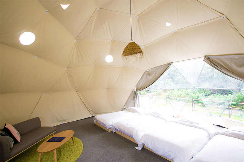 Standard 4-bed Dome