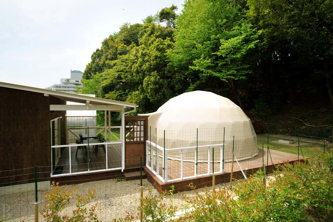 Forest dome