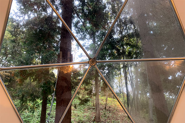 Forest view (spherical tent)