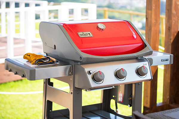 BBQ gas stove