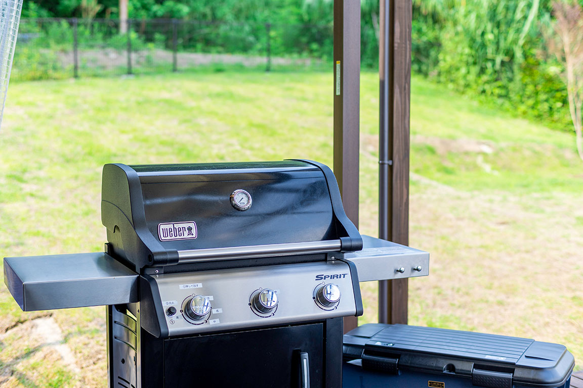 BBQ gas grill