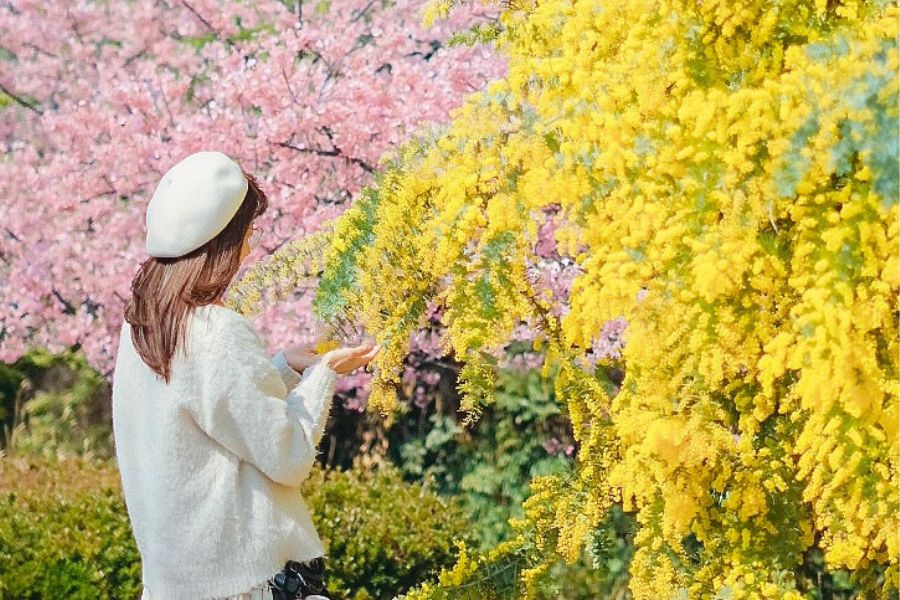 国营明石海峡公园