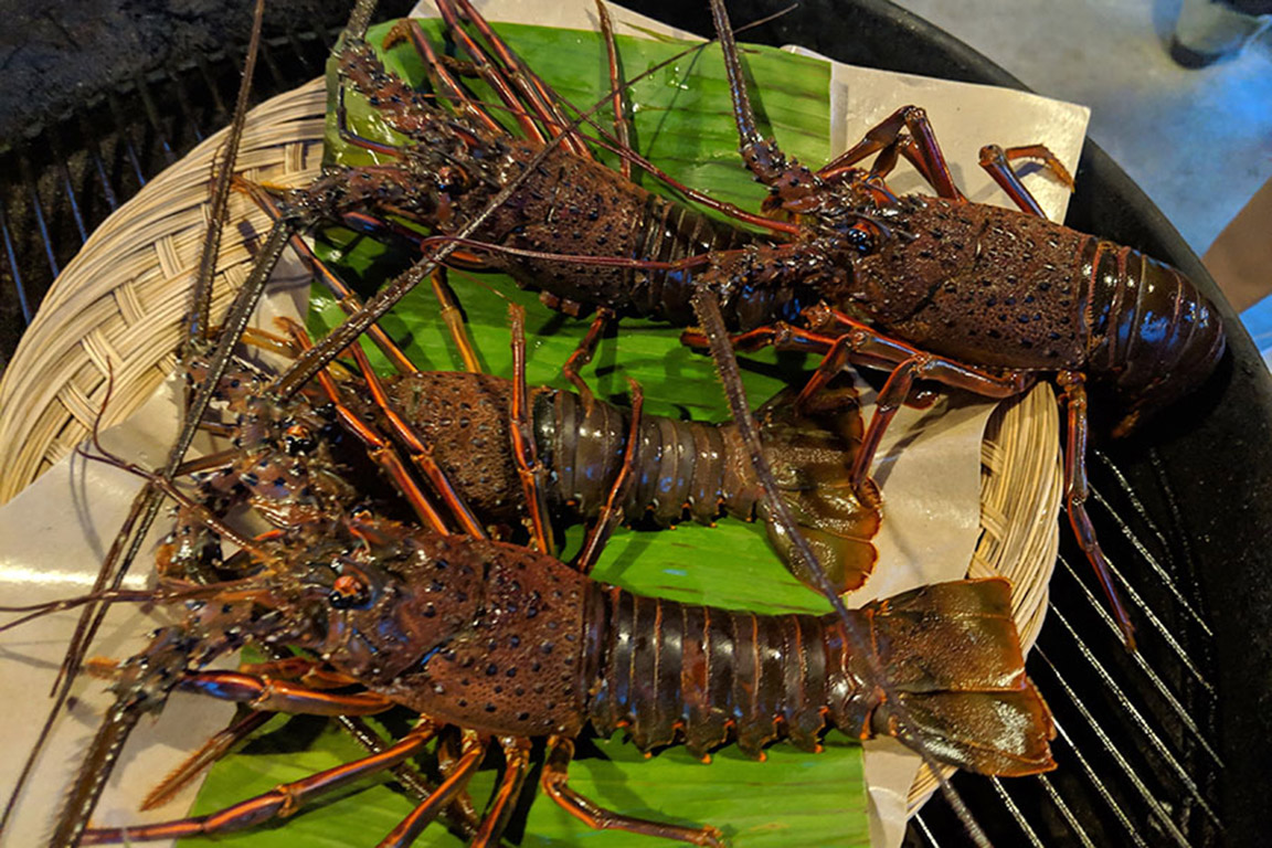 Enjoy Wagyu beef and Ise lobster!Isumi's BBQ special course