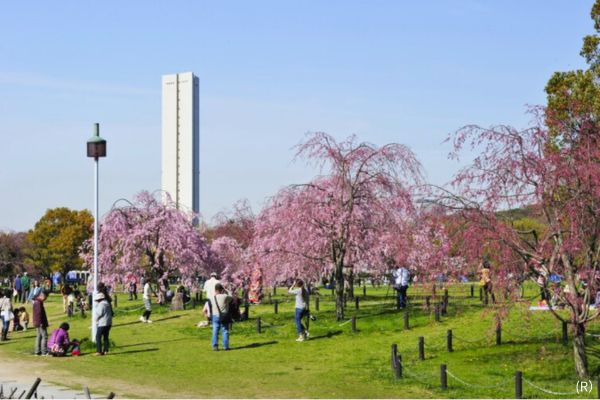 SKY DOME阪南　スカイドーム阪南【大阪】