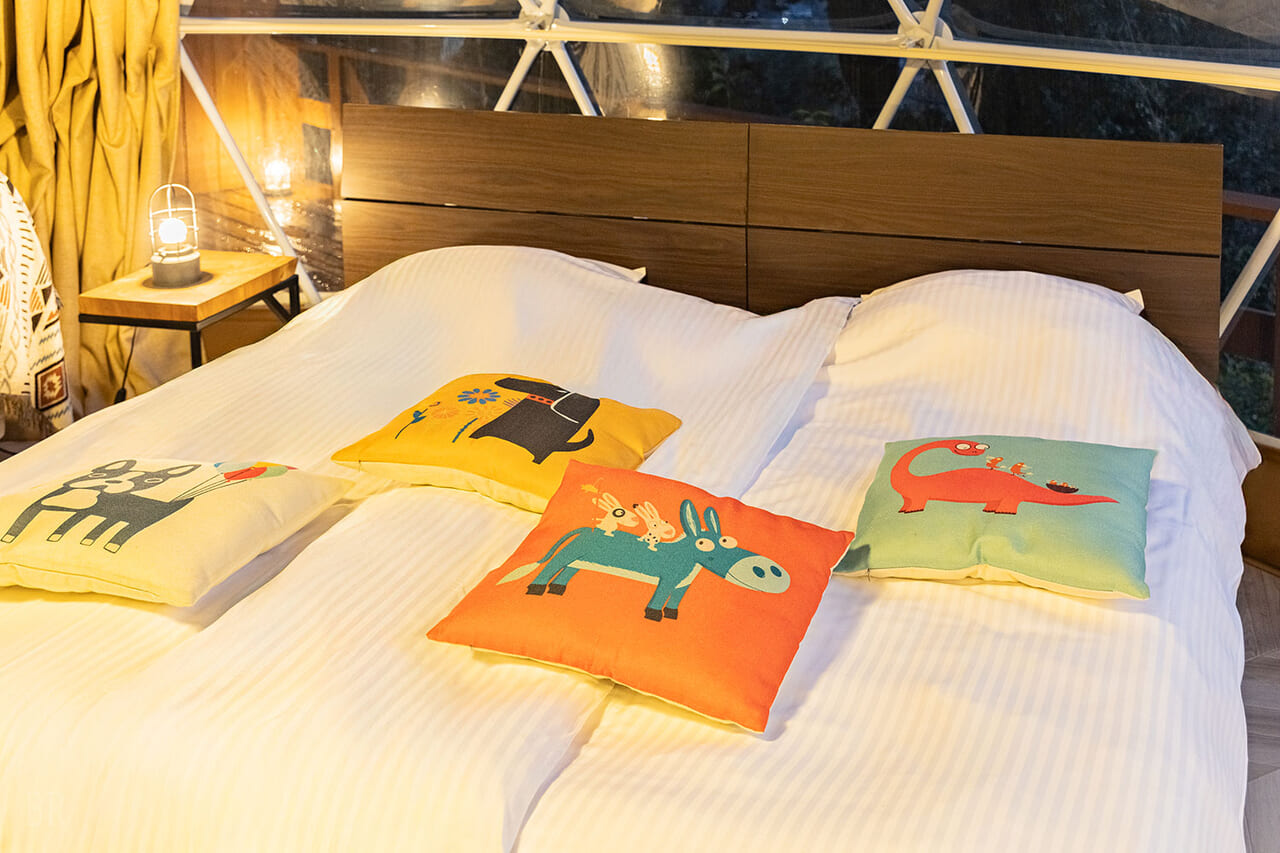 ファミリードーム