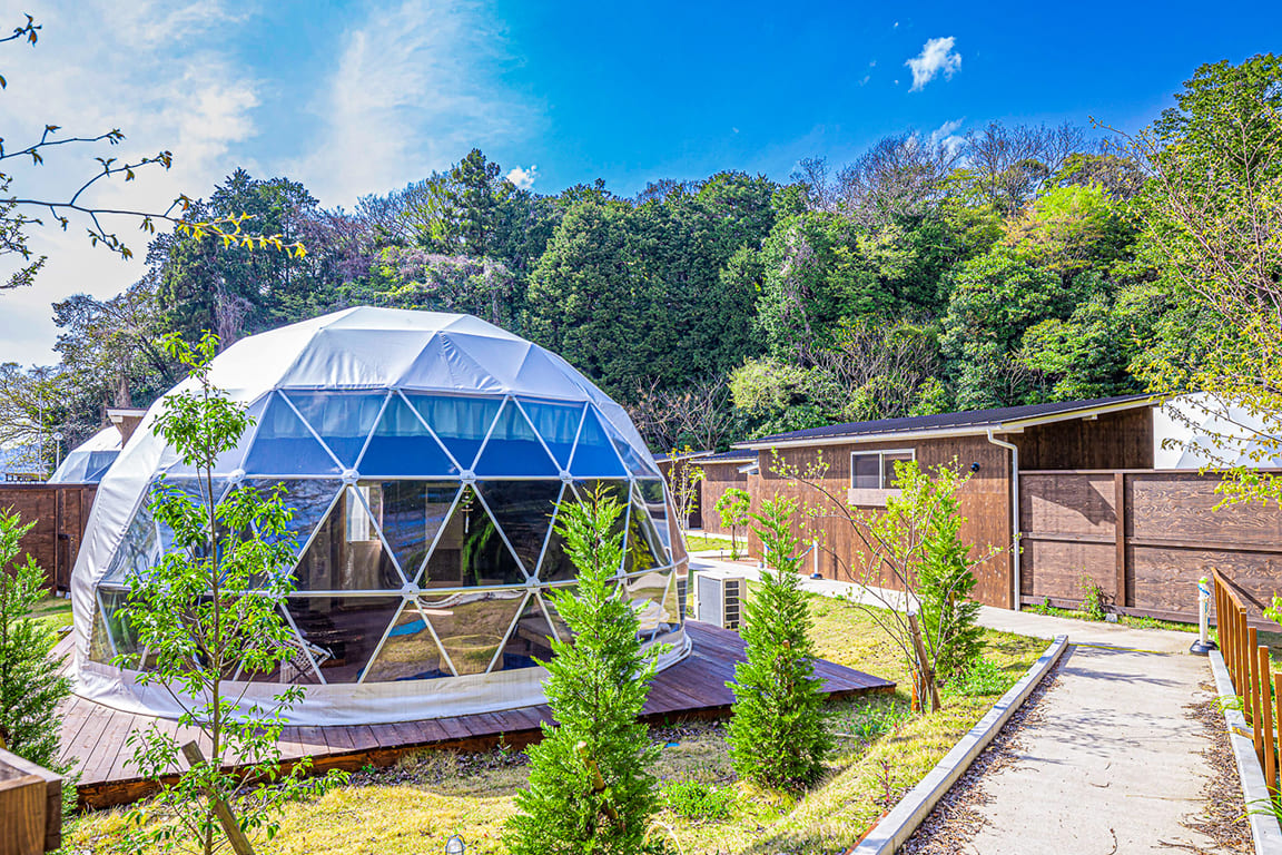 Aqua Dome [4 beds]