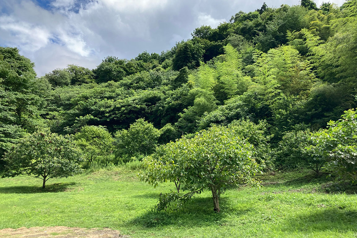 露營地[允許攜帶狗]