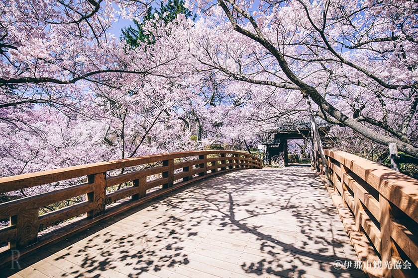 八ヶ岳PRIVATE WOODS NADA【長野】