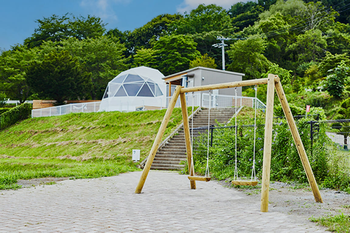 Standard dome tent with swing