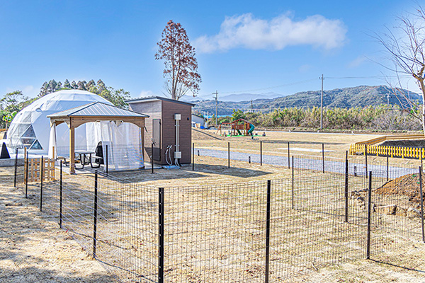 Dome tent (dogs allowed)