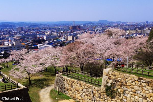 Moiそらやま【鳥取】