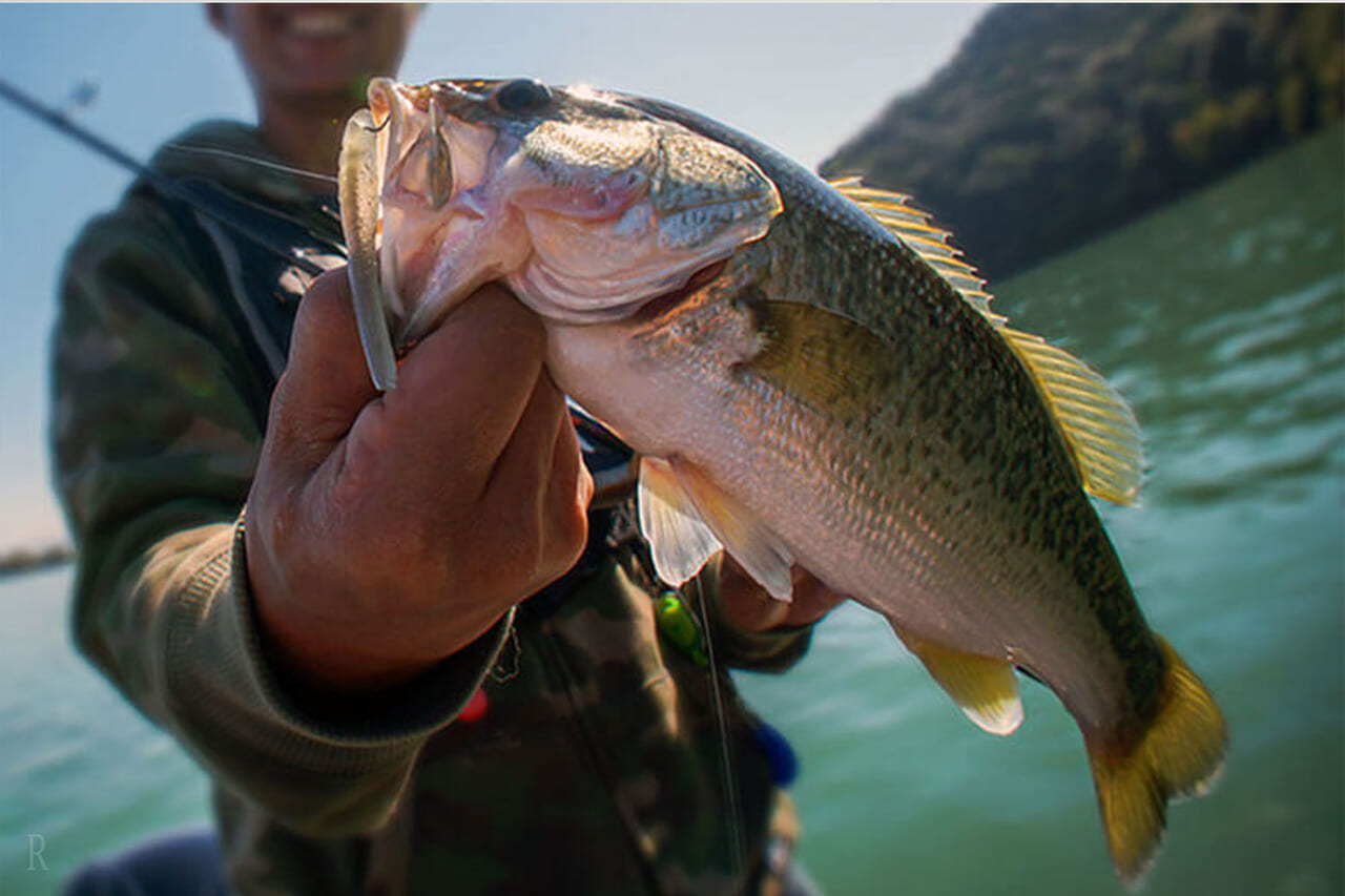 バス釣り