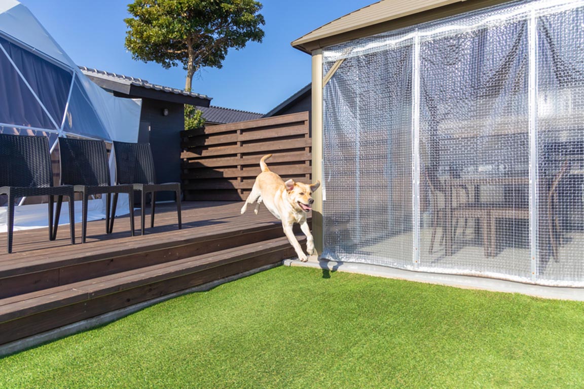 [Dogs allowed/Dedicated dog run included] Dog run dome