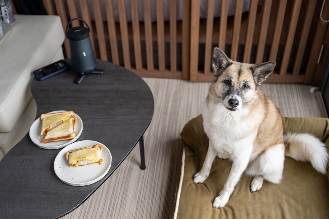 スカイデッキヴィラwithDog