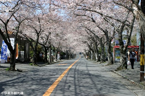 グランアイラ伊豆高原【静岡】