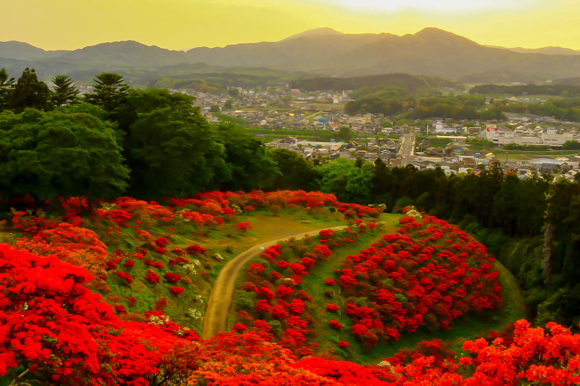 「茨城県・笠間市」どこか懐かしい町並みに 癒しのひと時を