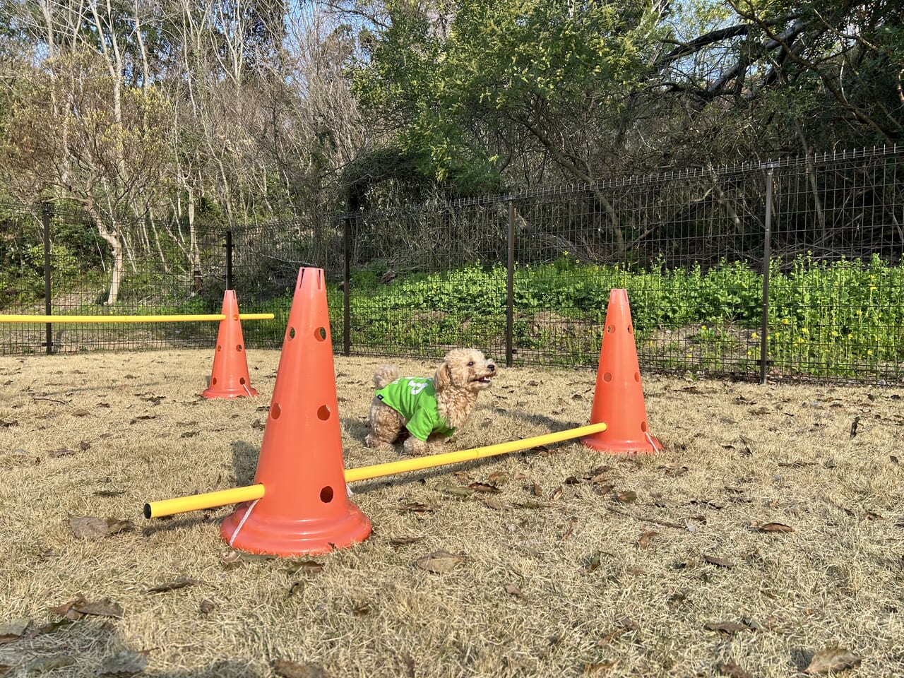 【愛犬OK】瀬戸内コテージ