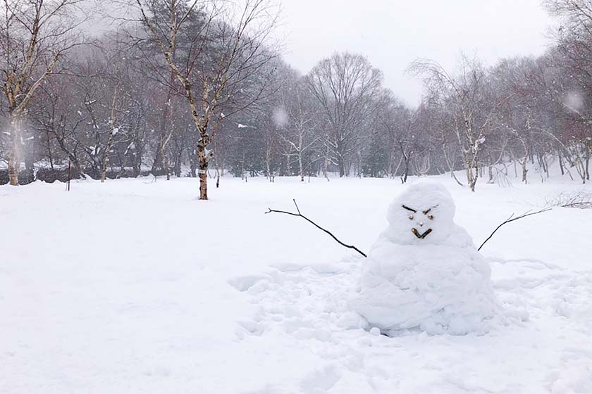 銀世界と雪だるま