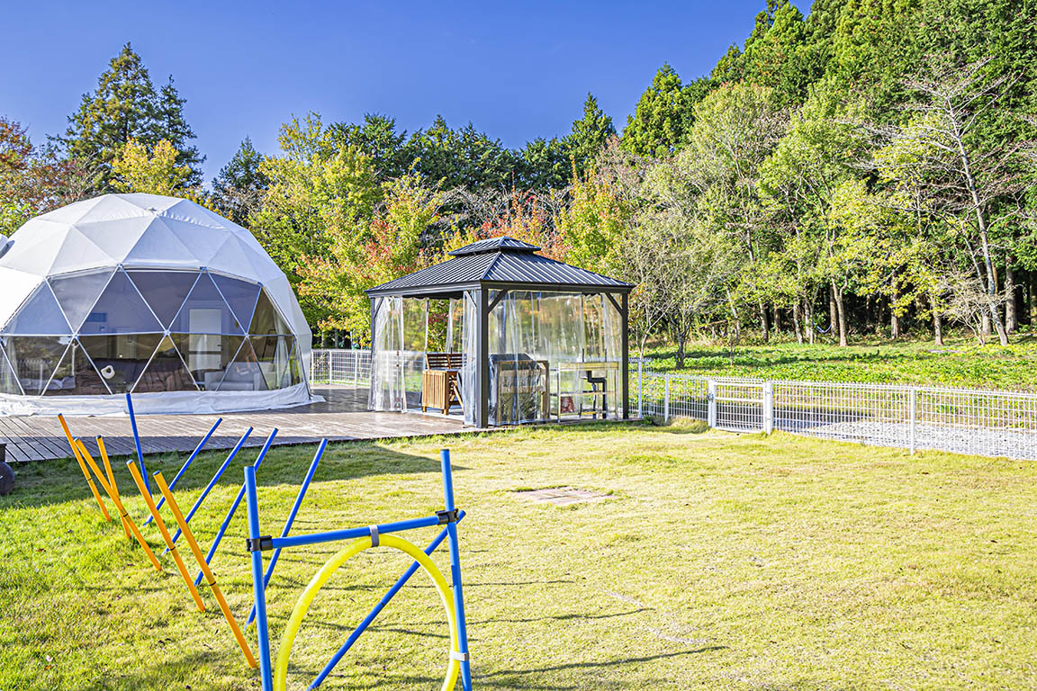 dog run dome