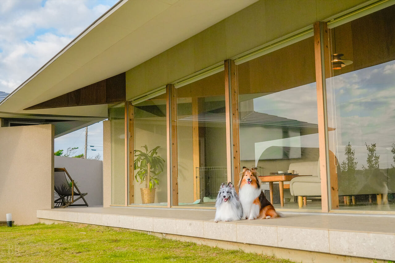 ドッグヴィラ《Suite》