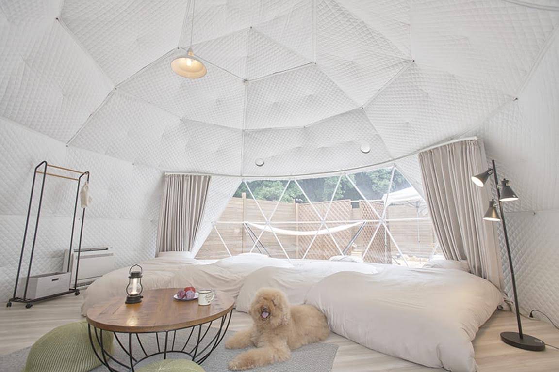 Glamping with your dog