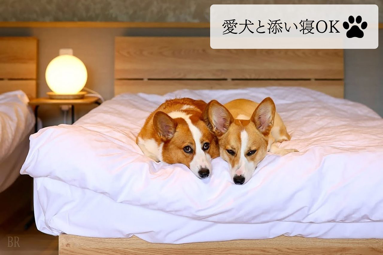 ドッグスイート【ペット同伴可能】