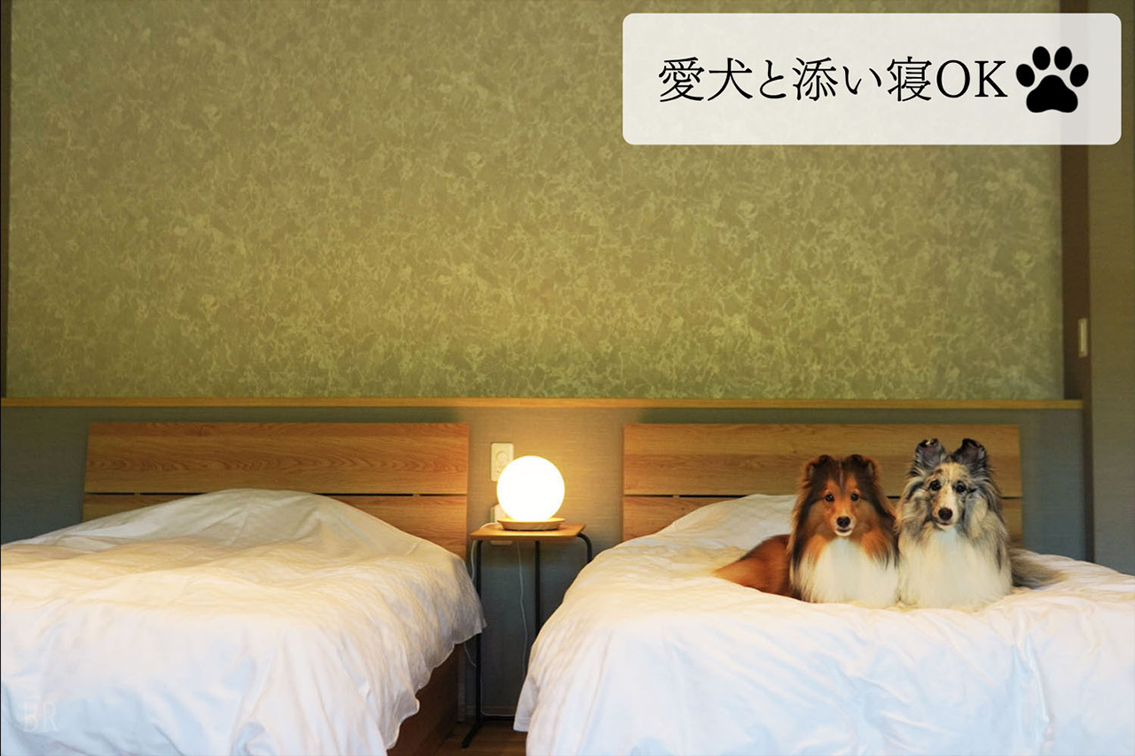 【NEW】ルミナスドッグスイート【ペット同伴可能】