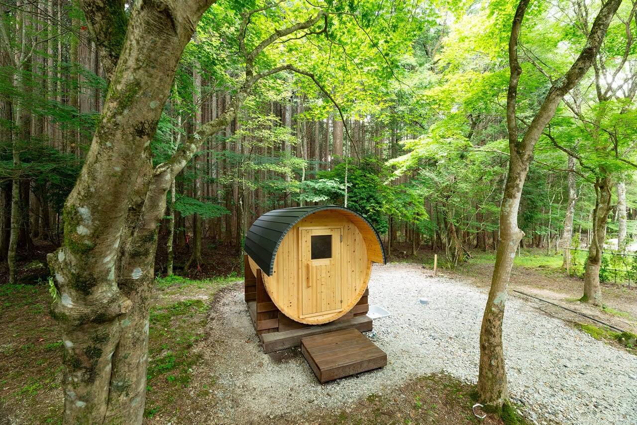 FOREST＜