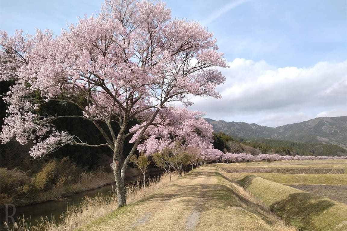 SHITARA VILLAGE-シタラヴィレッジ【愛知】