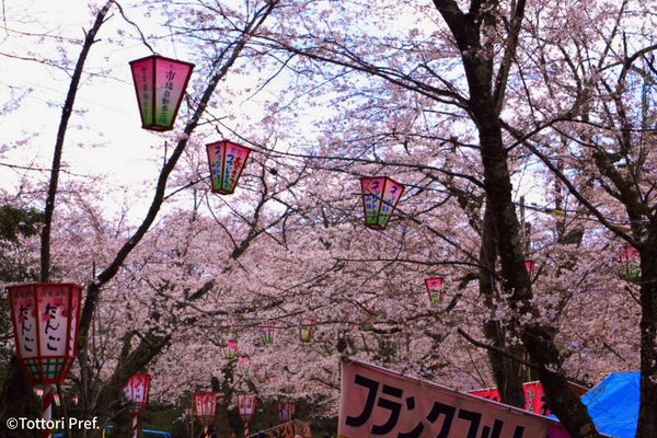 GRAN LAKE TOTTORI～グランレイク鳥取【鳥取】