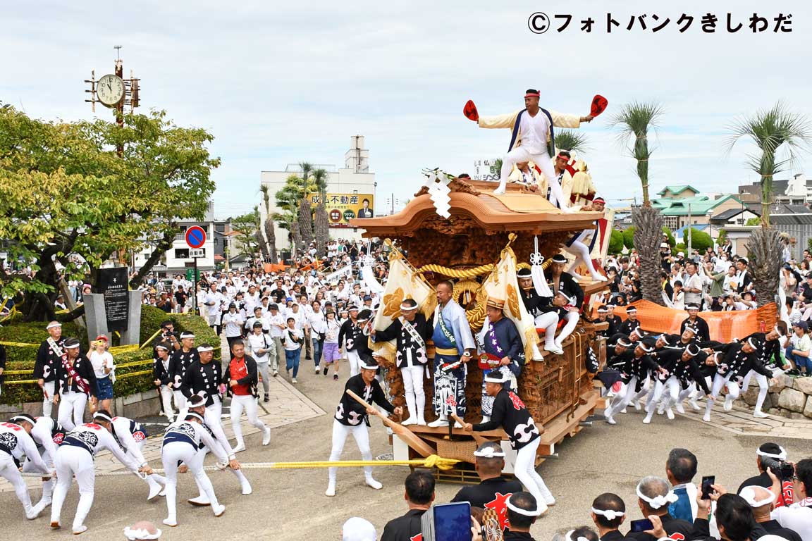 岸和田だんじり祭り