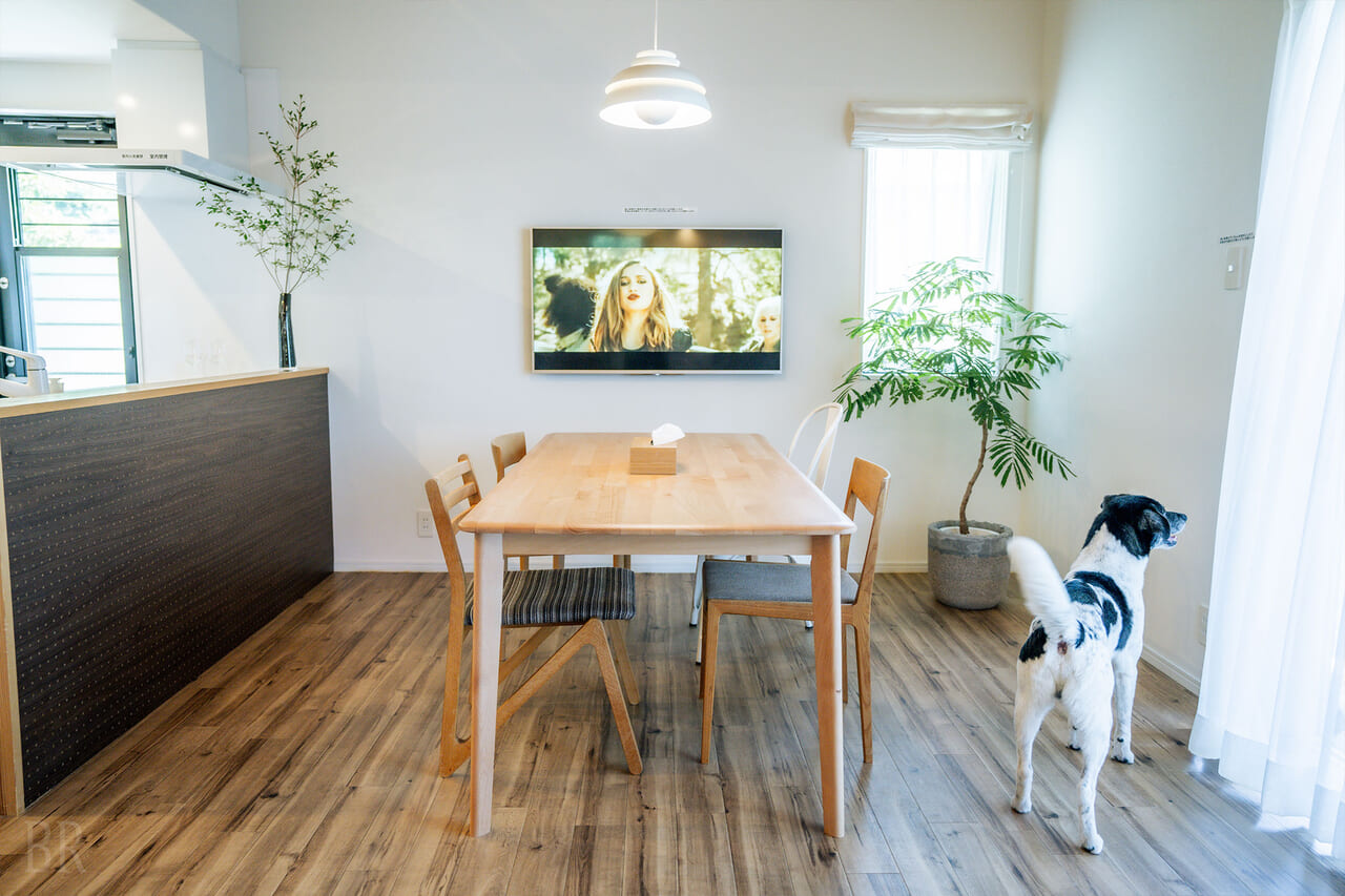 A spacious private house with a dog run
