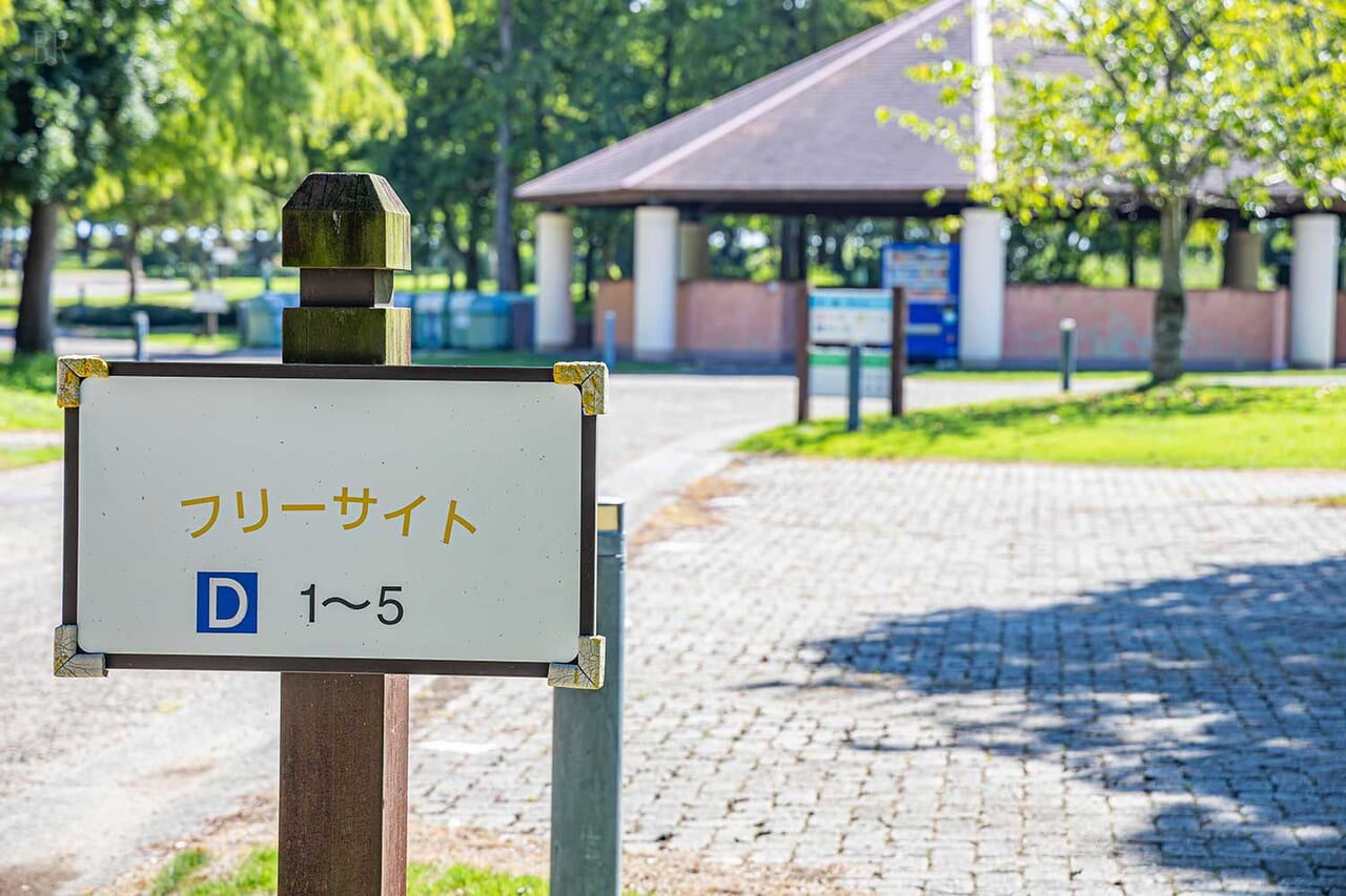 キャンプサイト：フリーサイト