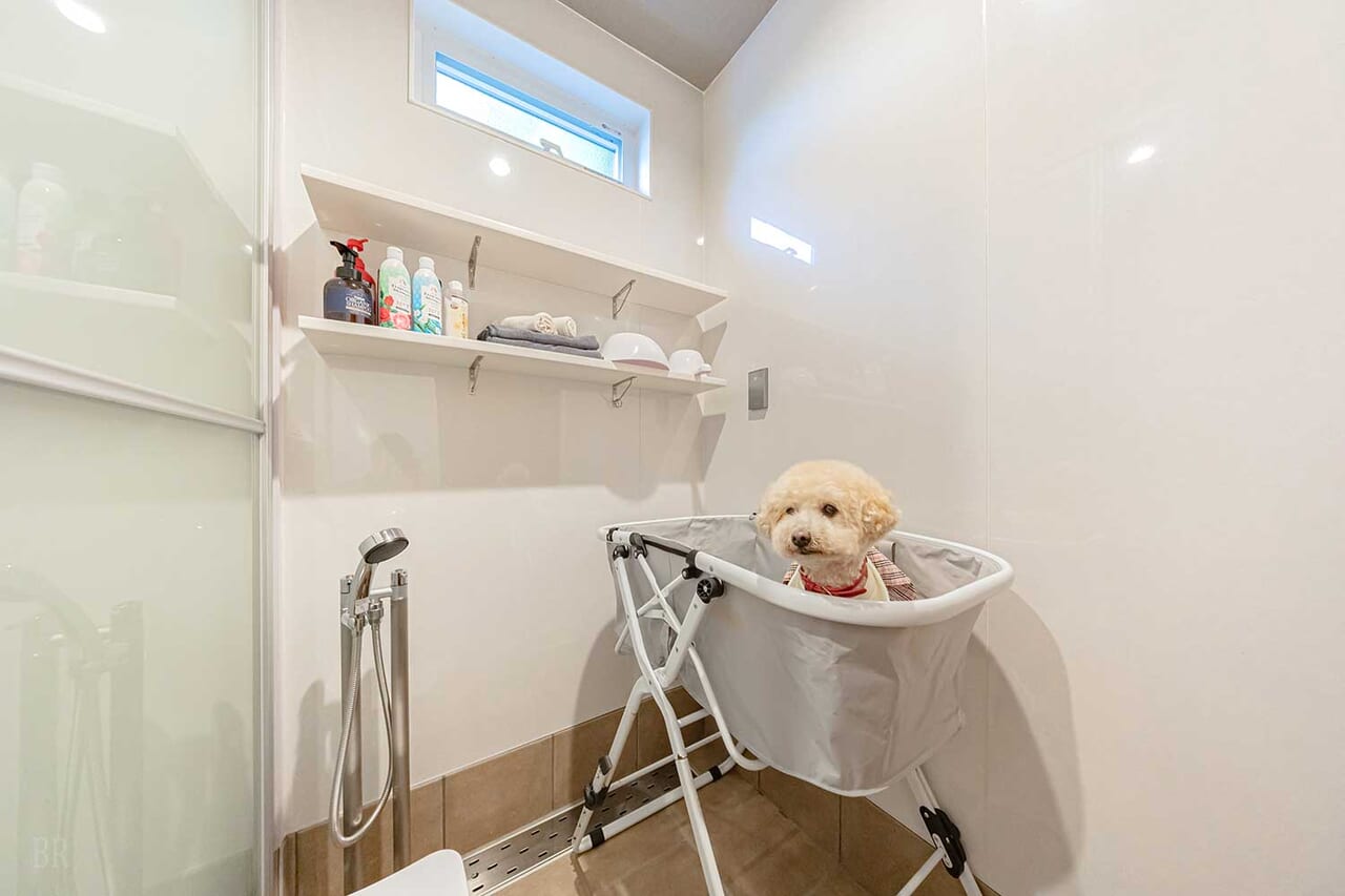 愛犬用シャワー