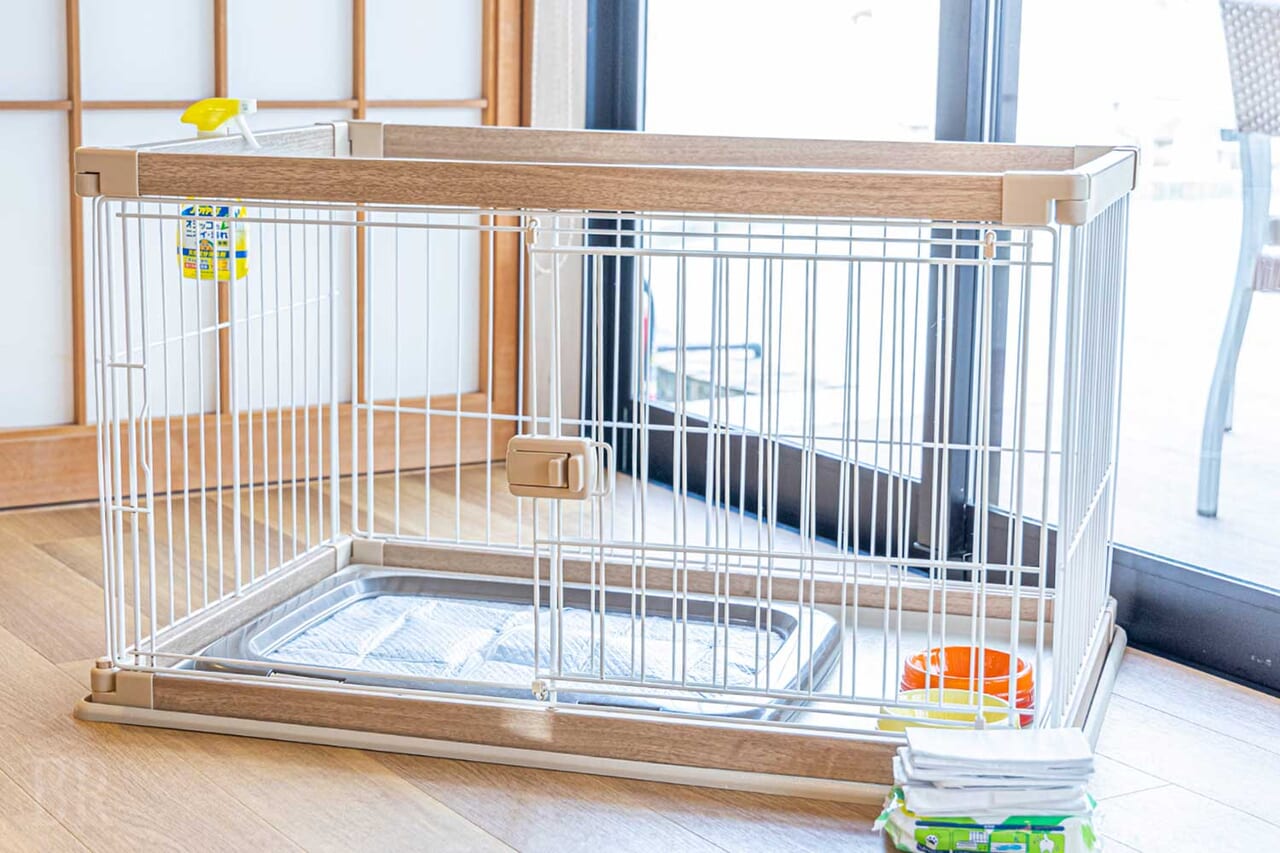 愛犬用アメニティ